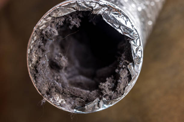 Best Local Air Duct Cleaning Services  in North Fort Lewis, WA